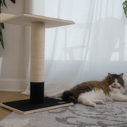 Arbre à chat Noba en contreplaqué moderne à 1 niveau