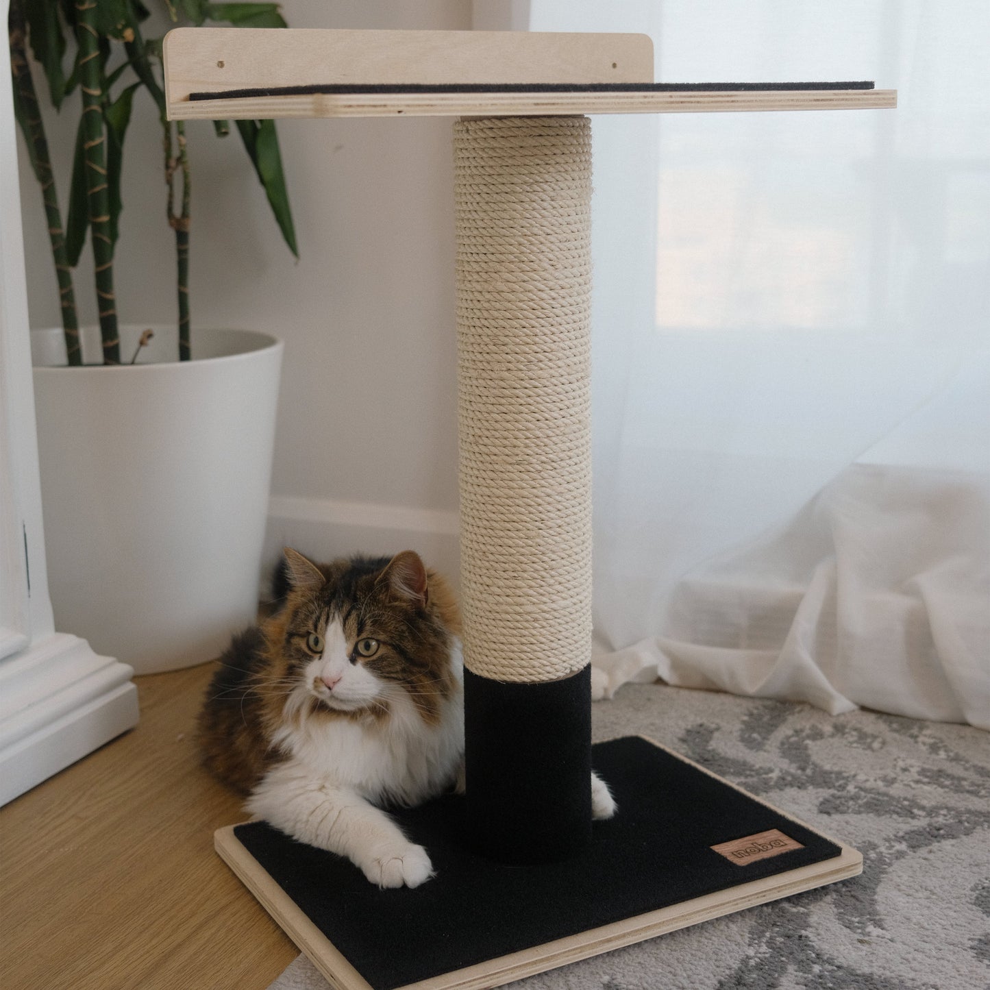 Arbre à chat Noba en contreplaqué moderne à 1 niveau