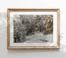 Tableau d'art paysager d'hiver vintage L0119