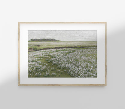 Impression d'Art Paysage Champ Fleuri Vintage L0160