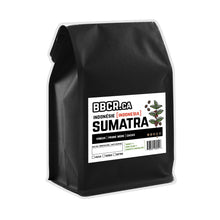 Sumatra (Indonésie) - origine unique