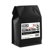 Sumatra (Indonésie) - origine unique