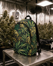 Big Buds Stash Pack