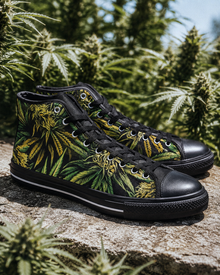 Big Buds Classic Noir Hauts