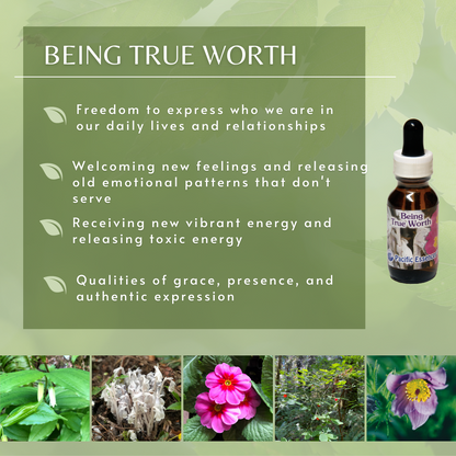 Being True Worth | Combination Essence