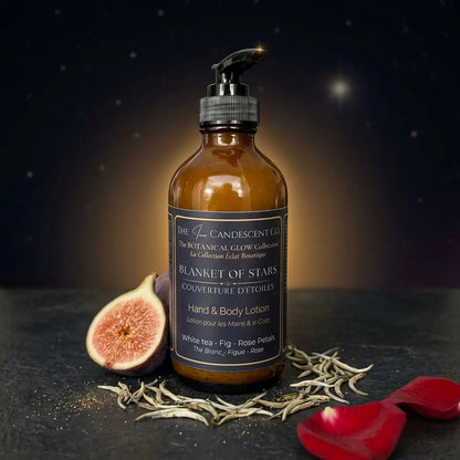 The Harmony & Light Discovery Bundle