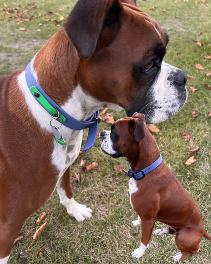 Biothane dog collar - Handmade in Quebec