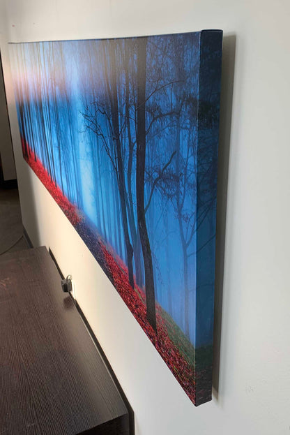 Impression sur toile - Arbres dans la brume bleue - Décoration murale