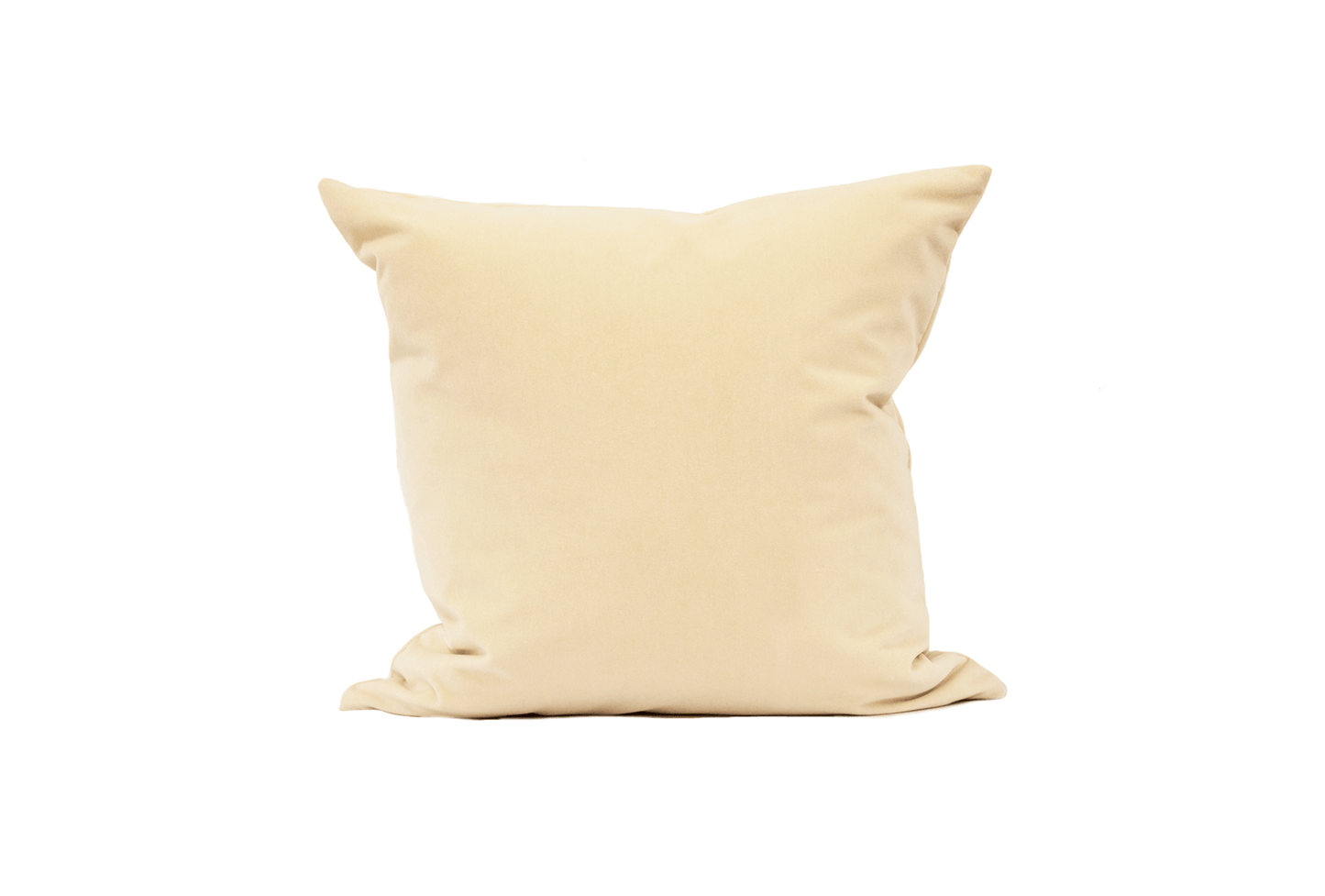 Housse de coussin Brie Velours