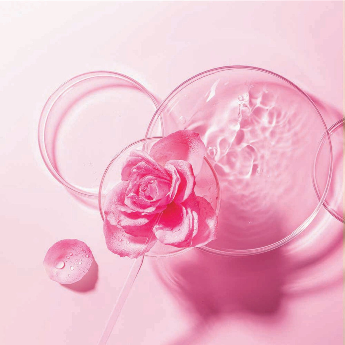 FOREO Bulgarian Rose Sheet Mask (3x)