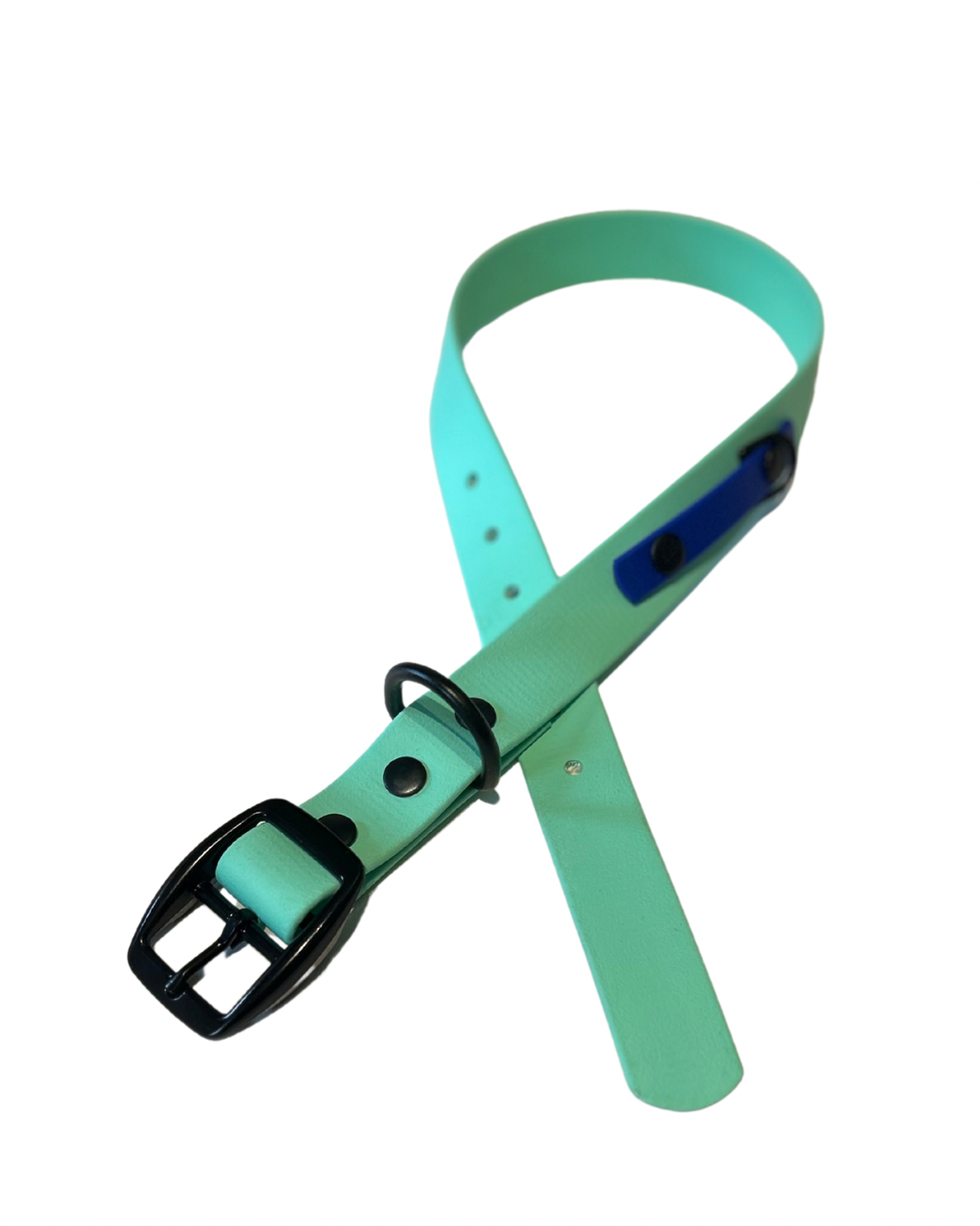 Biothane dog collar - Handmade in Quebec