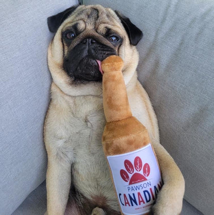 Jouet pour chien Pawson (QUANTITÉ LIMITÉE)