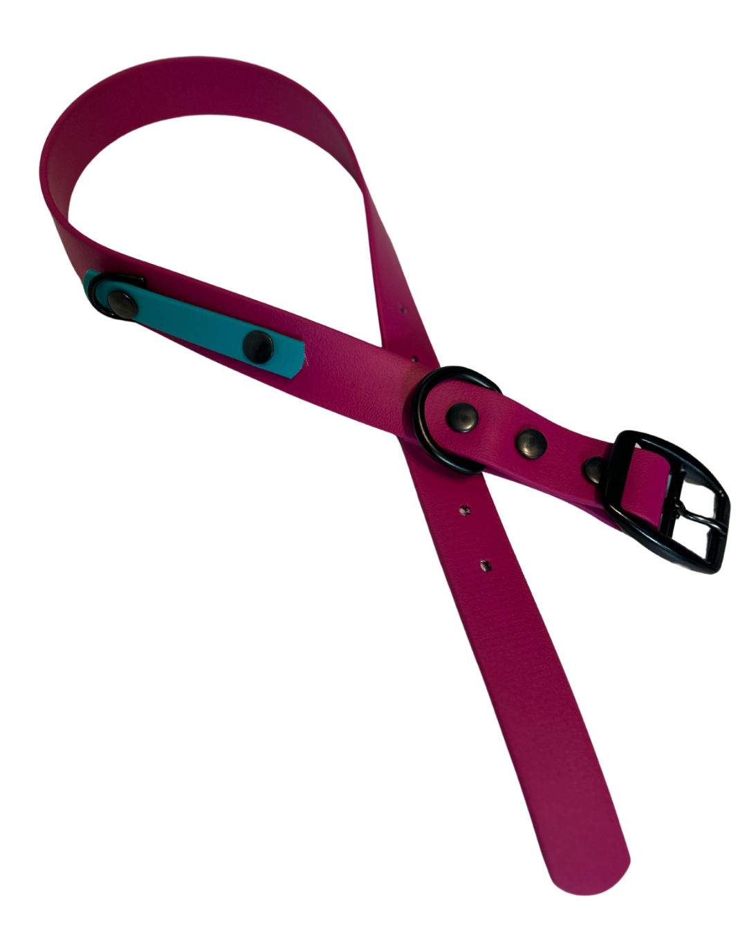 Biothane dog collar - Handmade in Quebec