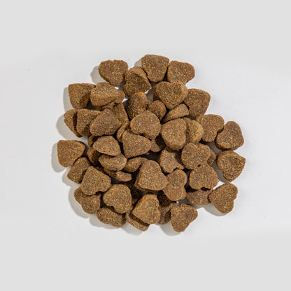 Chicken & Blueberry - Biscuits - Dog Treats