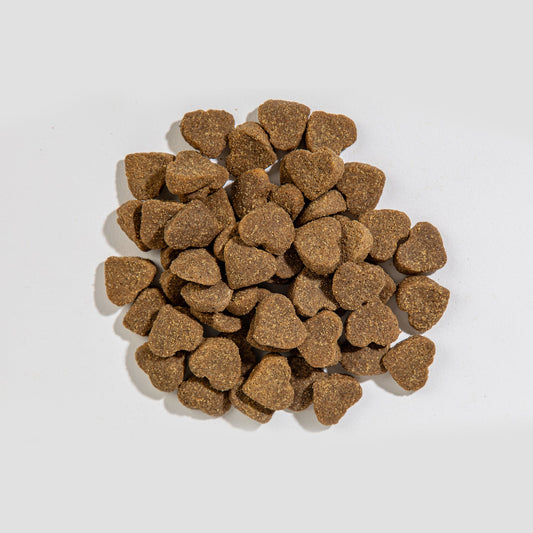 Chicken & Blueberry - Biscuits - Dog Treats