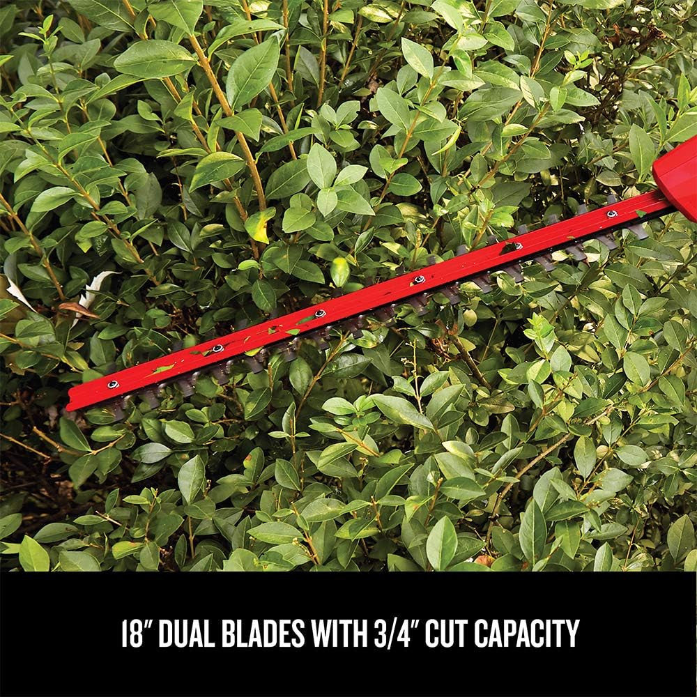 CRAFTSMAN CMCPHT818D1 20V MAX* Pole Cordless Hedge Trimmer, 18-Inch - Refurbished with Full Manufacturer Warranty