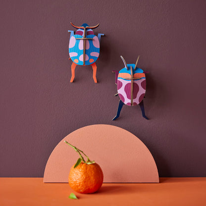 Couple de coccinelles