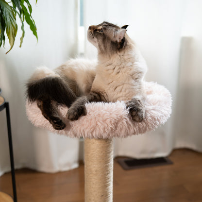 L'Arbre à chat Blush – 1 niveau