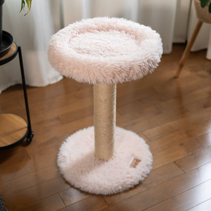 L'Arbre à chat Blush – 1 niveau
