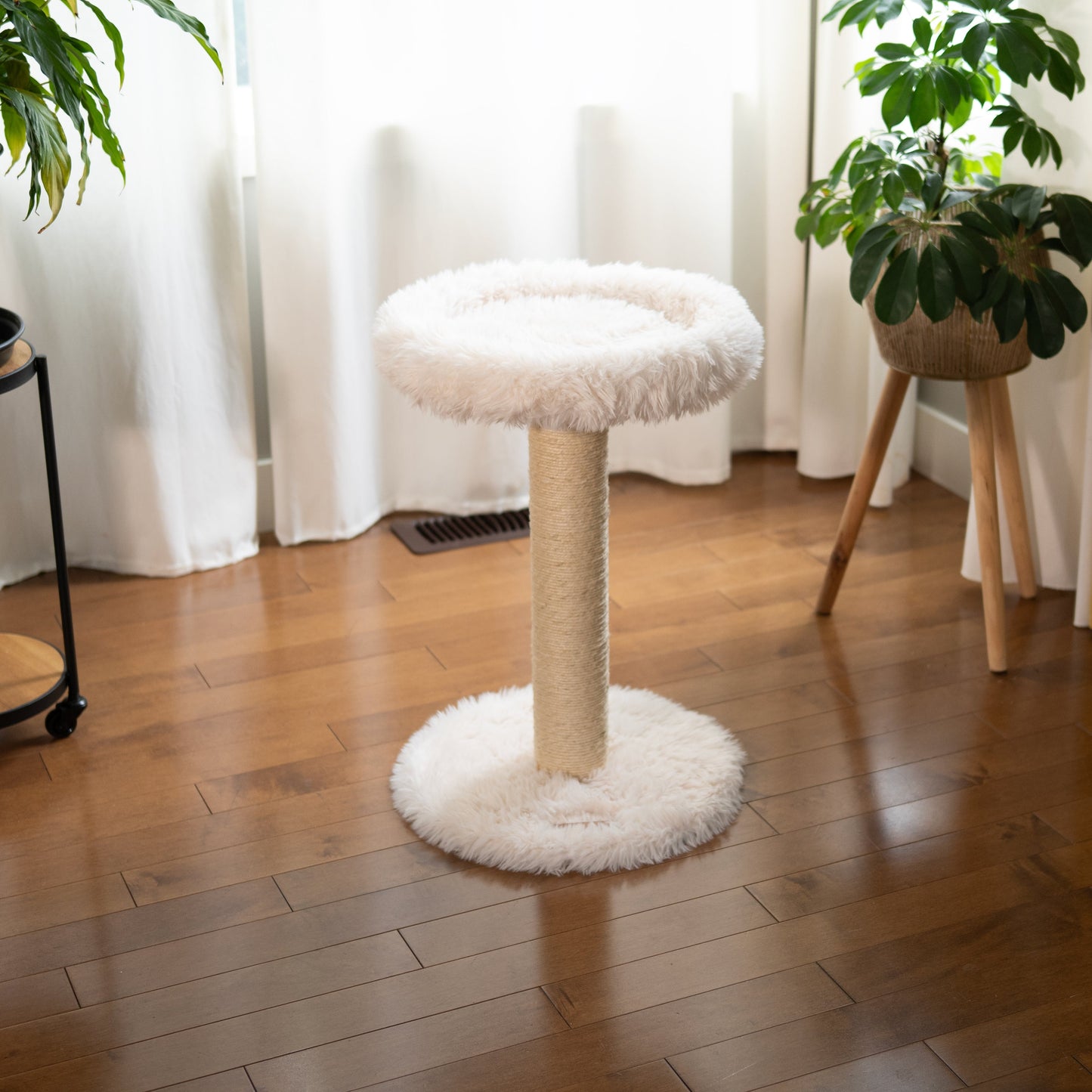 L'Arbre à chat Blush – 1 niveau