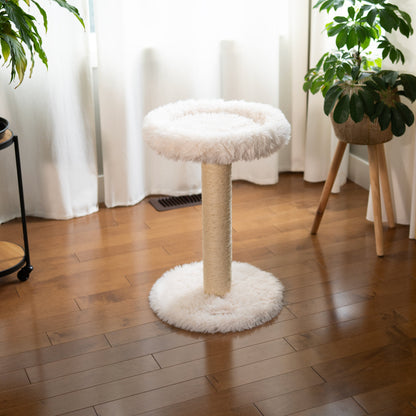 L'Arbre à chat Blush – 1 niveau