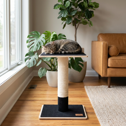 Arbre à chat Noba en contreplaqué moderne à 1 niveau