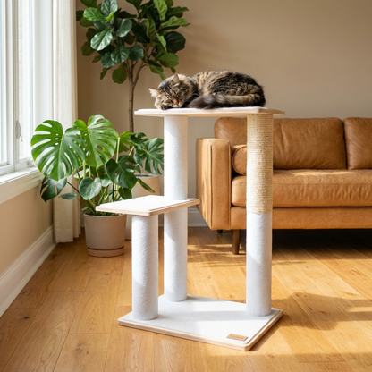 Arbre à chat moderne Noba à 2 niveaux en contreplaqué