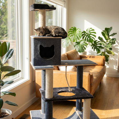Arbre à chat Noba Supreme 81 po à 6 niveaux
