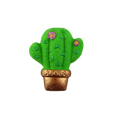 Cactus en fleurs