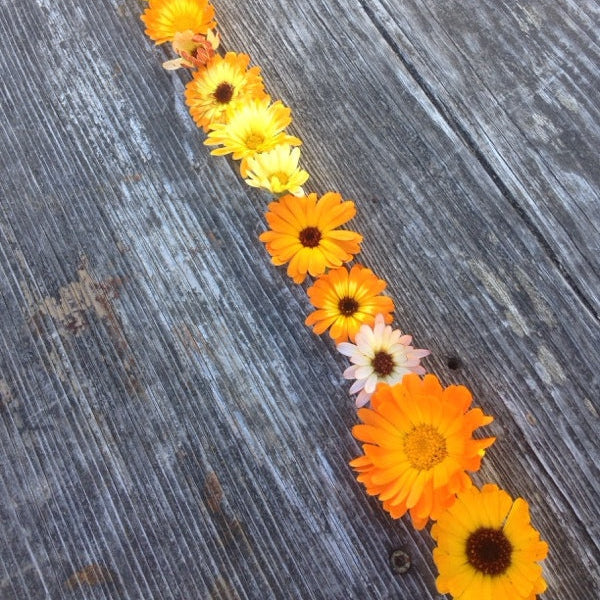 Le pack famille de fleurs