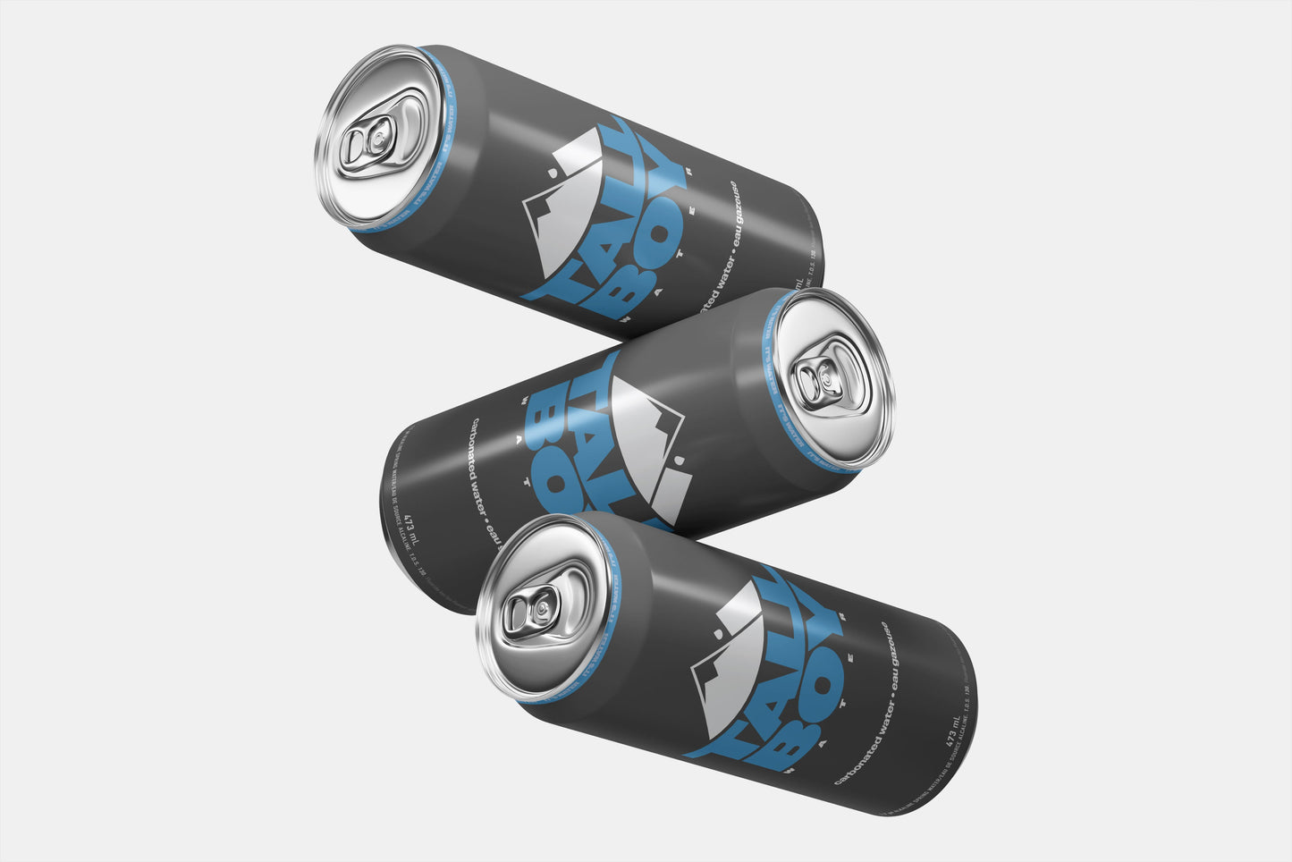 Tall Boy Carbonated Water | 12 Pack