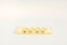 Polar Bear - Cola