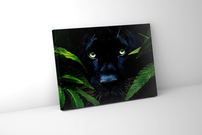 Art mural-Jaguar noir rare -Toile animalière