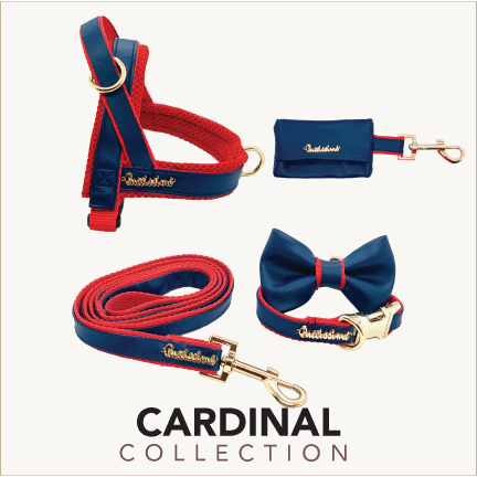 Col cardinal