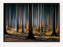 "Mystic Wood" Canvas Wall Art by Carsten Meyerdierks