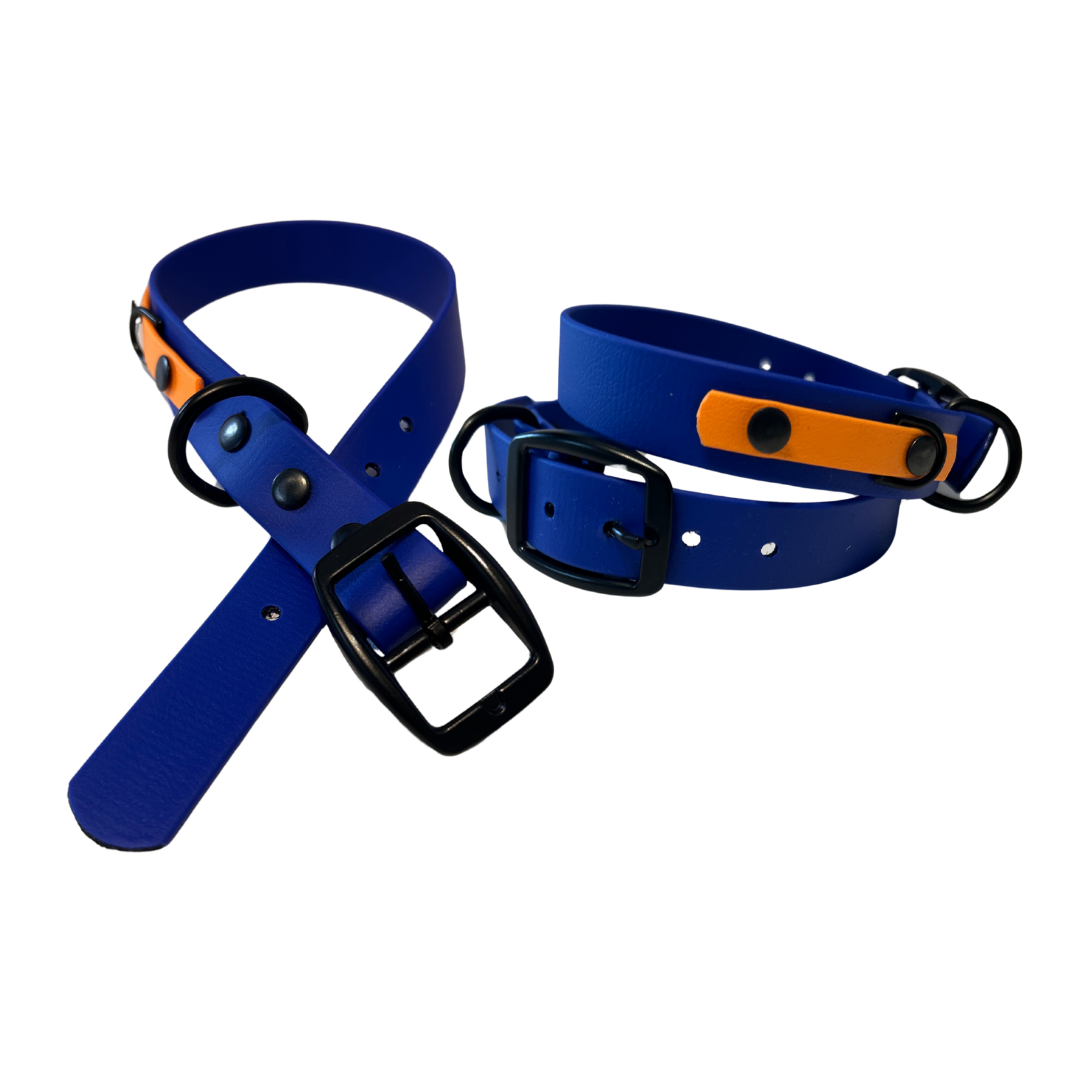 Biothane dog collar - Handmade in Quebec