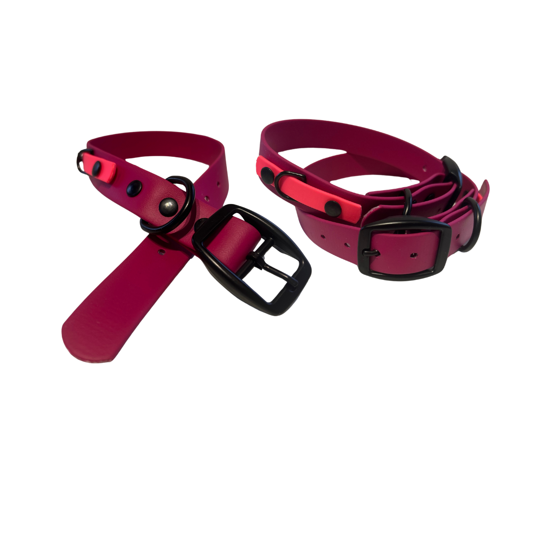 Biothane dog collar - Handmade in Quebec