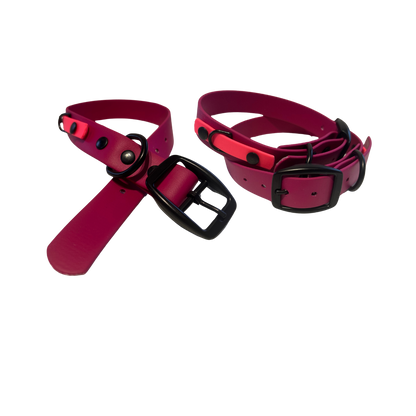 Biothane dog collar - Handmade in Quebec