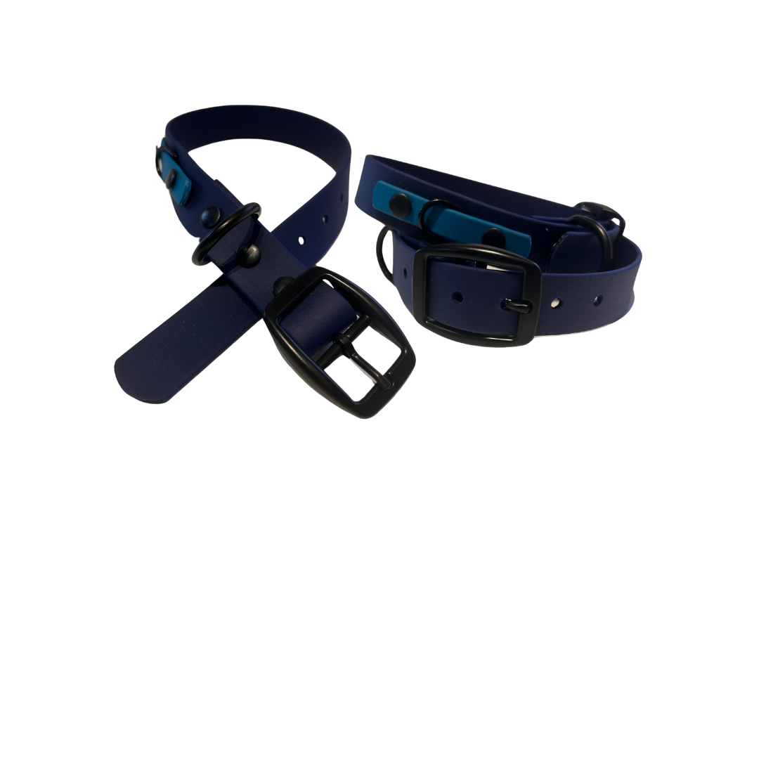 Biothane dog collar - Handmade in Quebec
