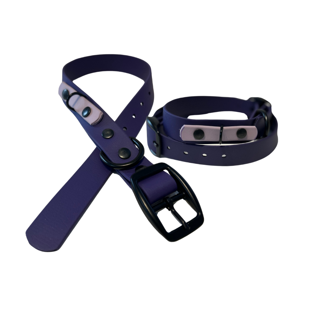 Biothane dog collar - Handmade in Quebec