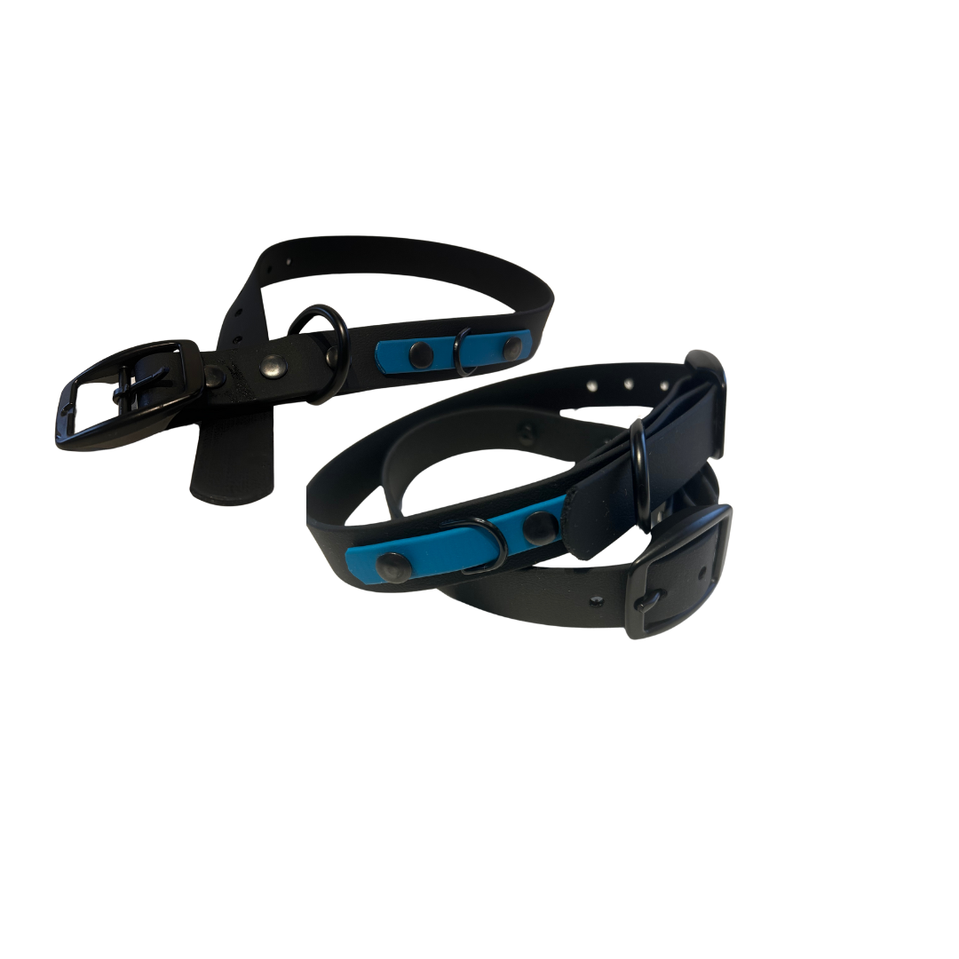 Biothane dog collar - Handmade in Quebec
