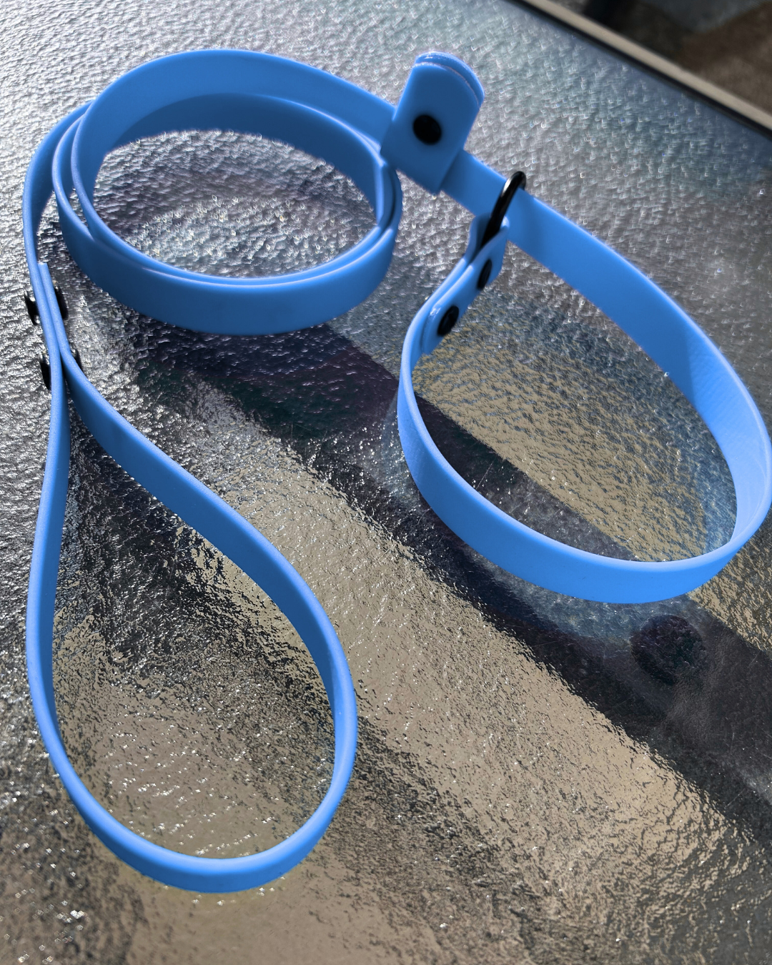 Laisse lasso en Biothane pour chien - Fabriquée à la main au Québec