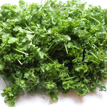 Curly Cress
