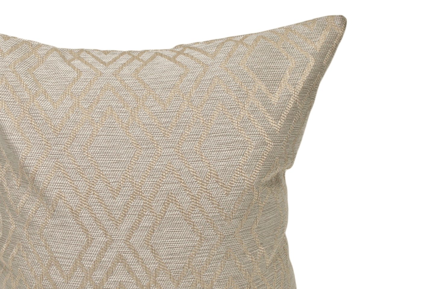 Housse de coussin Oyster