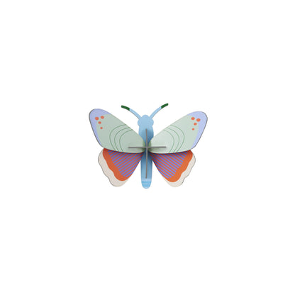 Noctuelle ponctuée