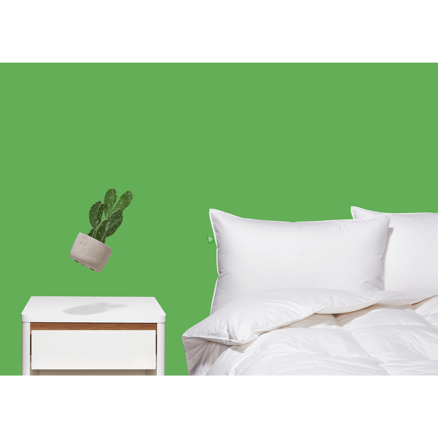 Surmatelas en duvet Down Perfect™