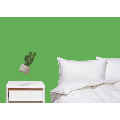 Surmatelas en duvet Down Perfect™
