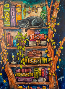 Books N' Things