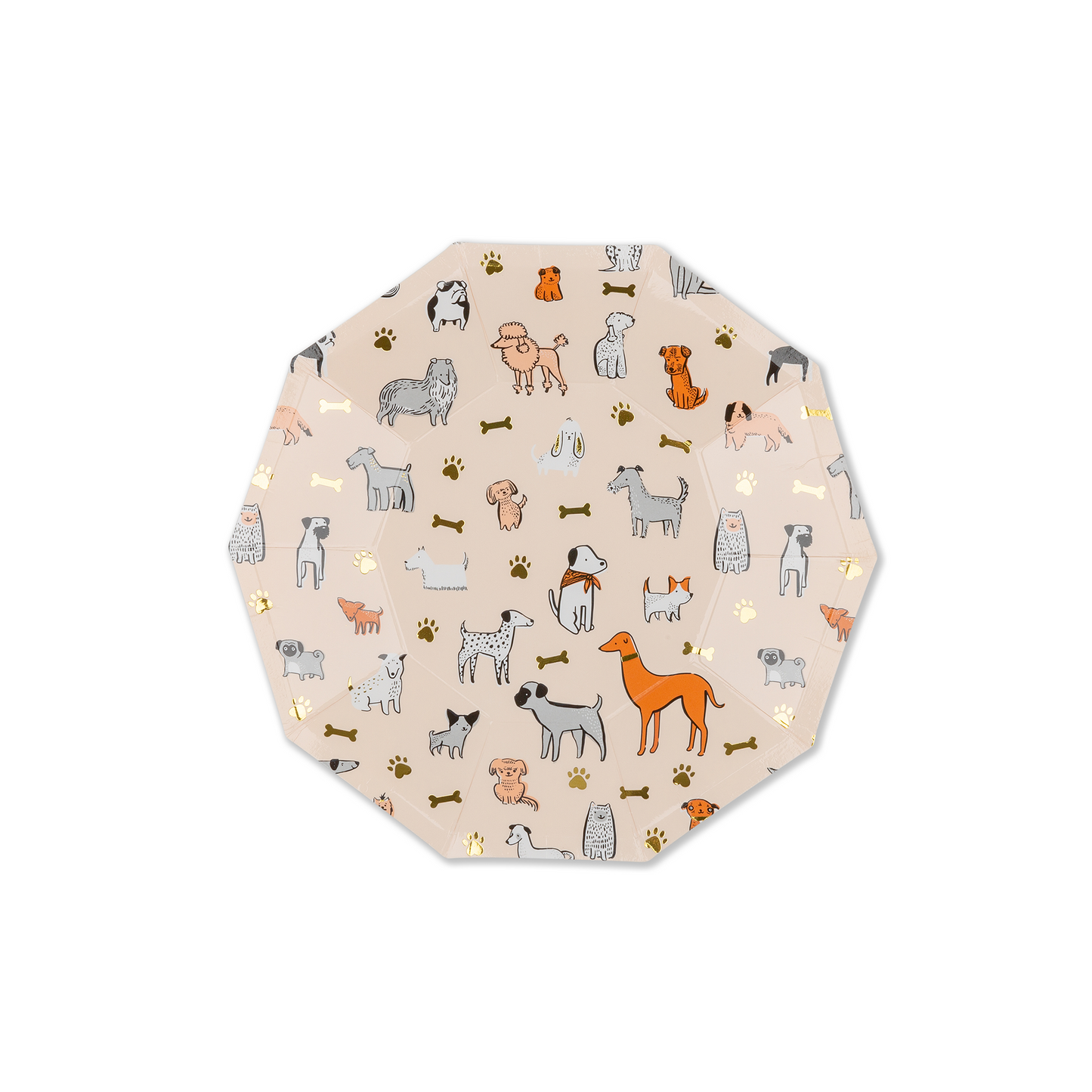 Petites assiettes pour chien