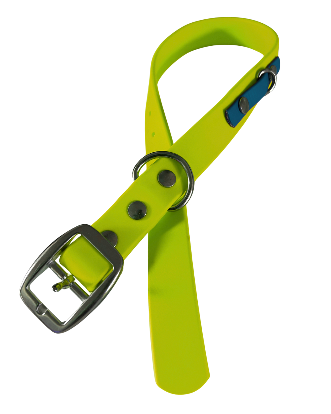 Biothane dog collar - Handmade in Quebec